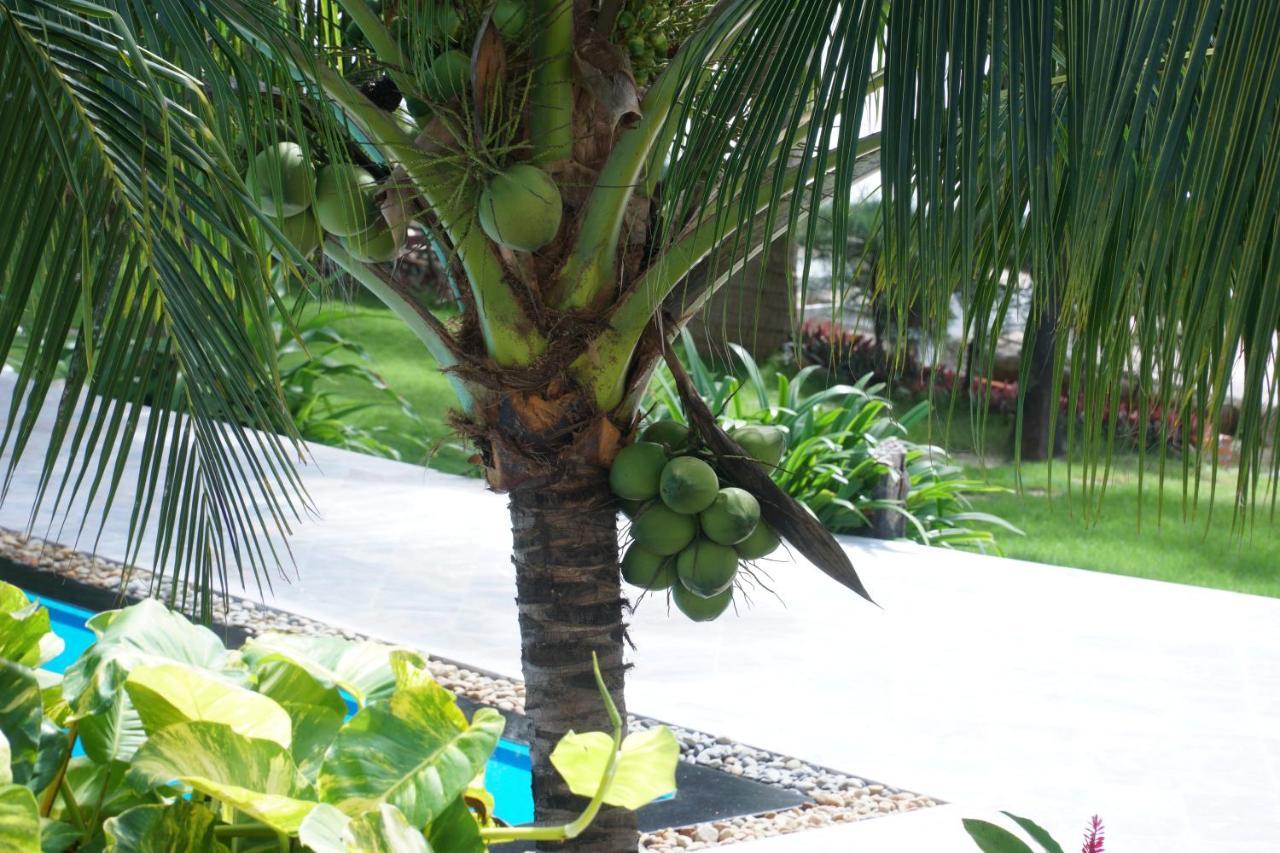 Ravenala Muine Resort Phan Thiet Kültér fotó